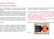 Shockwatch® 2 / ШокВотч2 (15G, 25G, 37G, 50G, 75G) индикатор удара