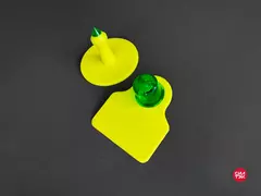 Ушная бирка Силфлекс S2 (35х32 мм)